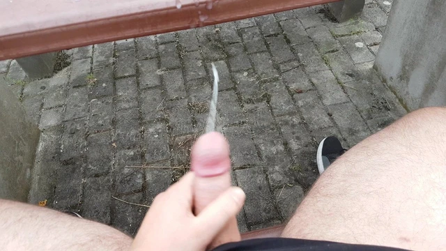 Wanking at the motorway station