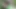 Bengali Jija Saali Ka Jungle Mein Mangal Karte Sex Videos Went Viral.