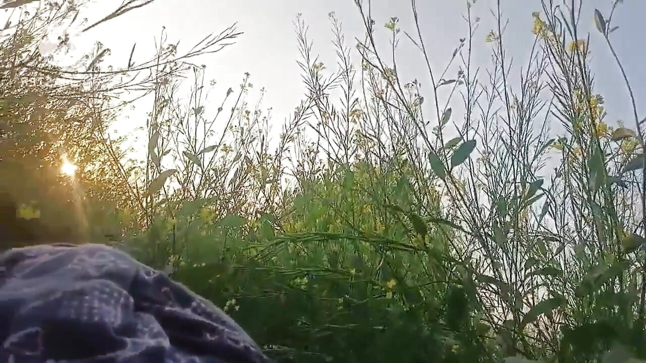 Desi Village Bhabhi Fucked by Devar in Outdoor