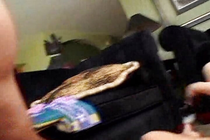 Två heta brudar som delar stor kuk i en het trekant