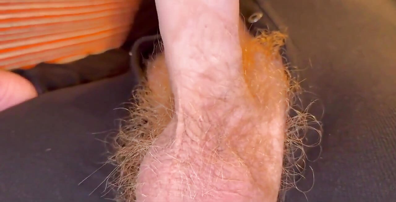 Hairy Bear Seattle Stepdad Breeds Ginger Cub Logan Stanley in His Hotel Room