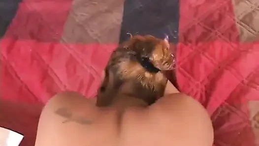 Alize si cewek imut kulit hitam lagi asik dientot gaya doggy di ranjang sampai mengerang keenakan