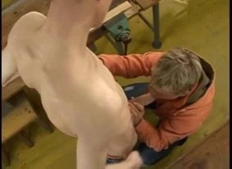 Wood Shop Wood