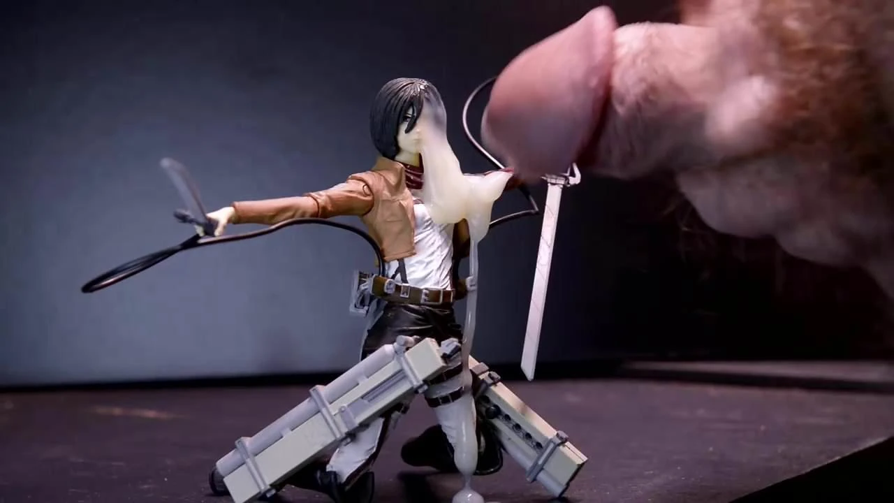 SoF Mikasa 2
