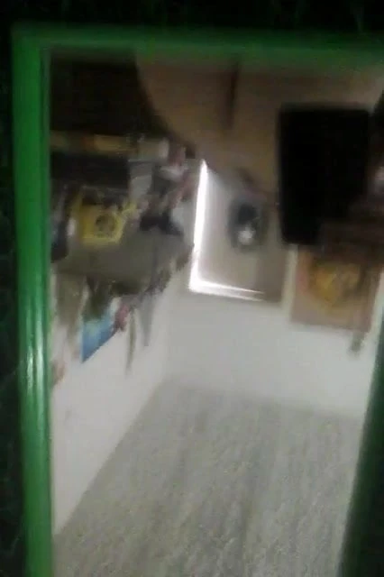 PUTARIA PURA DA ZONA