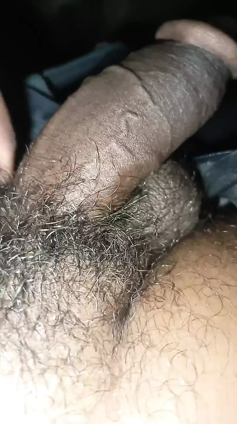 新视频