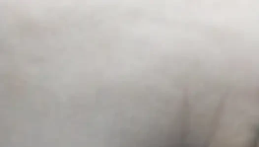 Wanita pantat bahenol ini dientot habis-habisan sampai mengerang keenakan