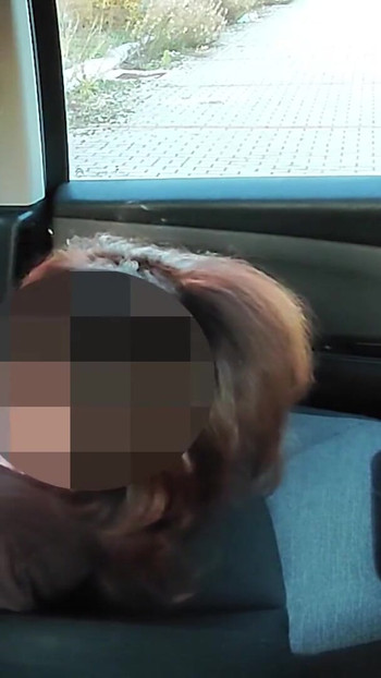 Iconic moment from "DOGGING my STEPDAUGHTER in a PUBLIC PARKING lot after SCHOOL and a VOYEUR FUCKS her PUSSY until she SQUIRTS"