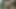 Rahiplerin kirli alışkanlığı