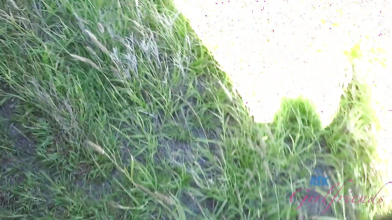 Virtuální dovolená