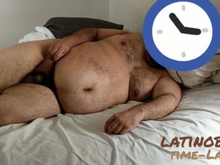Beruang latin di tempat tidur