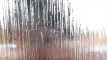 Pratinjau video