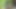 公園でのセックス