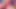 Lil Teaser Fahişe