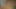 自宅で熱いセックスをしているカップル