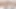 3x yıpranmış kedi test oyuncakları
