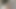 مارس الجنس مع موظف سيء