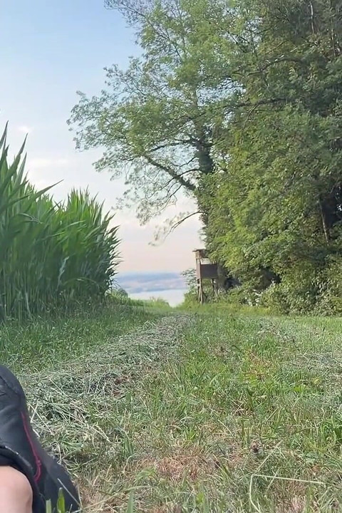 Risky Bwc Stroking Outdoors on Meadow with Lake View - Big Cumshot
