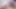 Lavender Gets Pounded Hard