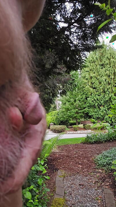 Backyard Sideyard and Street Viewing Nude