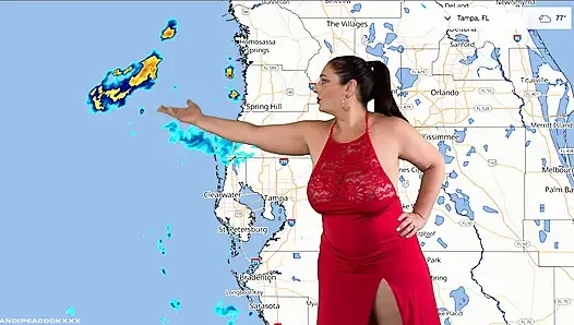 This week's forecast