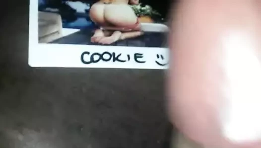 Cum haraç için cookie
