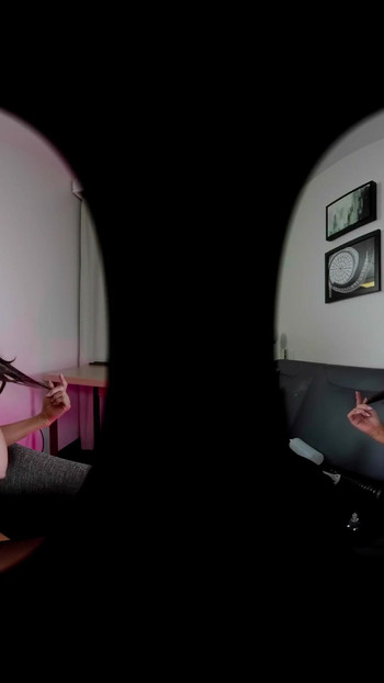 Pregled videozapisa