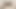 君のチンコに乗ってもいい?