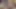 Porno yıldızı Mirella Mansur xerecard ile dövme yaptı Alman dövme sanatçısı sarışın bir penis sapladı