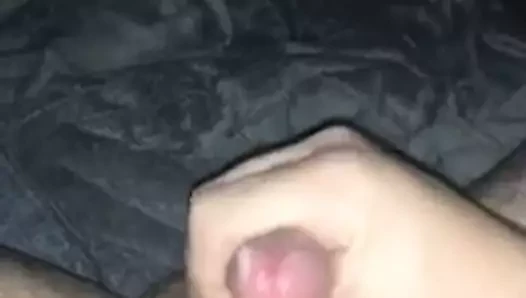Büyük döl