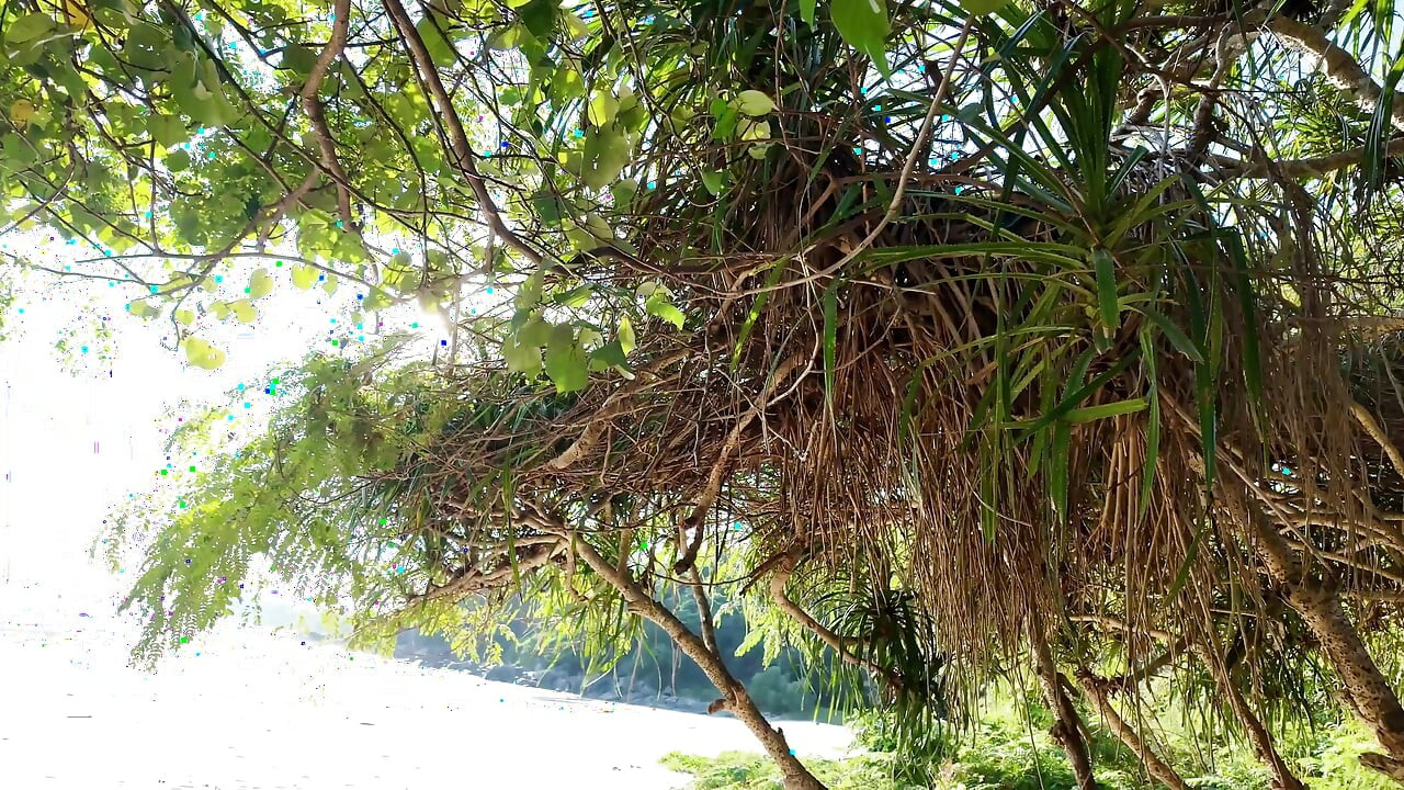 Đụ đít tại nhà vệ sinh công cộng bãi biển