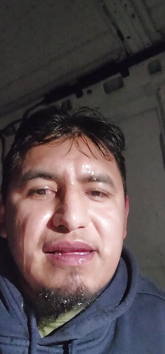 Svamini hansi