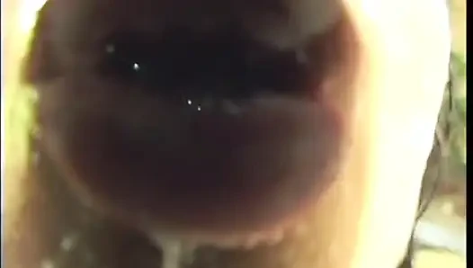 Kedi maskeli inatçı esmer erkek delisi tera bond acilen şehvetini tatmin etmesi için yabancı istiyor