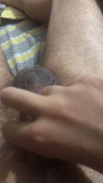 Showing off my cock