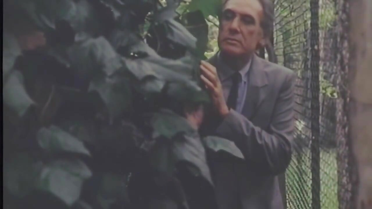 O marido a espiona enquanto ela é fodida pelo jardineiro.