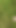 Walking Barefoot on the Grass