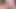桜の罰と膣のセックス