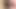 Bi hung anon breeding