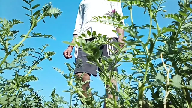 Satyam Big Cock Hot Sex Video