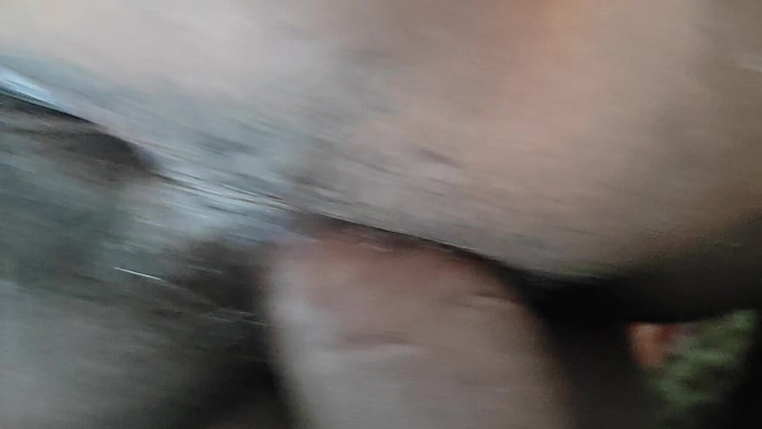 Pusssy liking