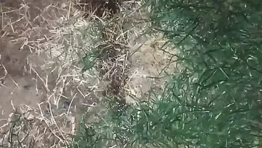 pissing ve sağladım
