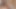 Hunt4k. avcı tek şartla daire kiralıyor