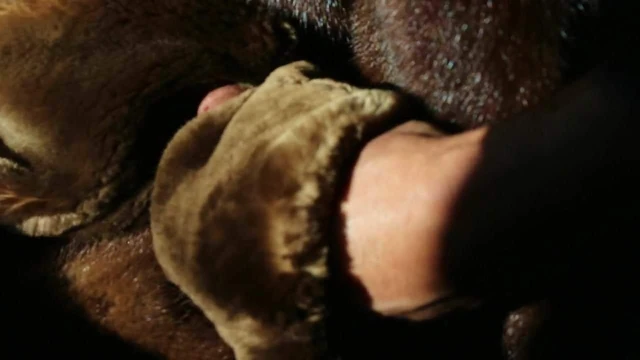 mink fur cum