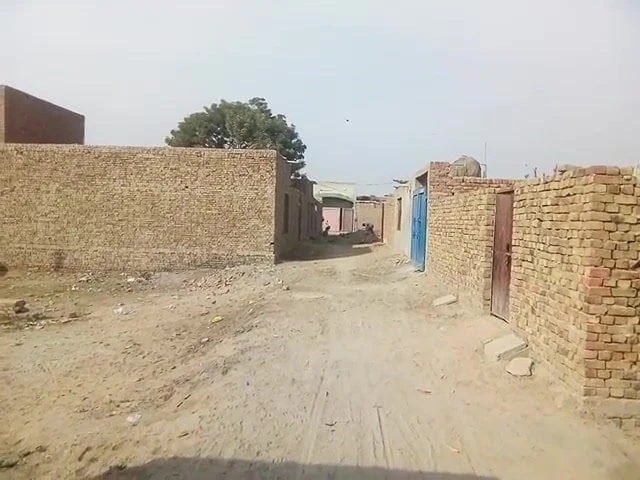 Video seksi on 2021
