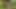 Digging Deep Ebony Creamy Big Fat Ass in the Woods of Nigeria