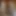 Julia Ann and Cherie Deville Pet Training