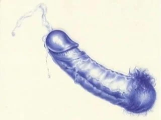 Blue Erection (cartoon erotica)