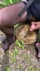 Dildo in the wood 1