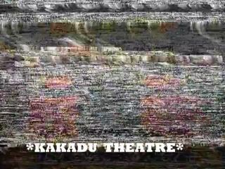 Teatro Rus Kakadu. gatos en moscú (parte 13)