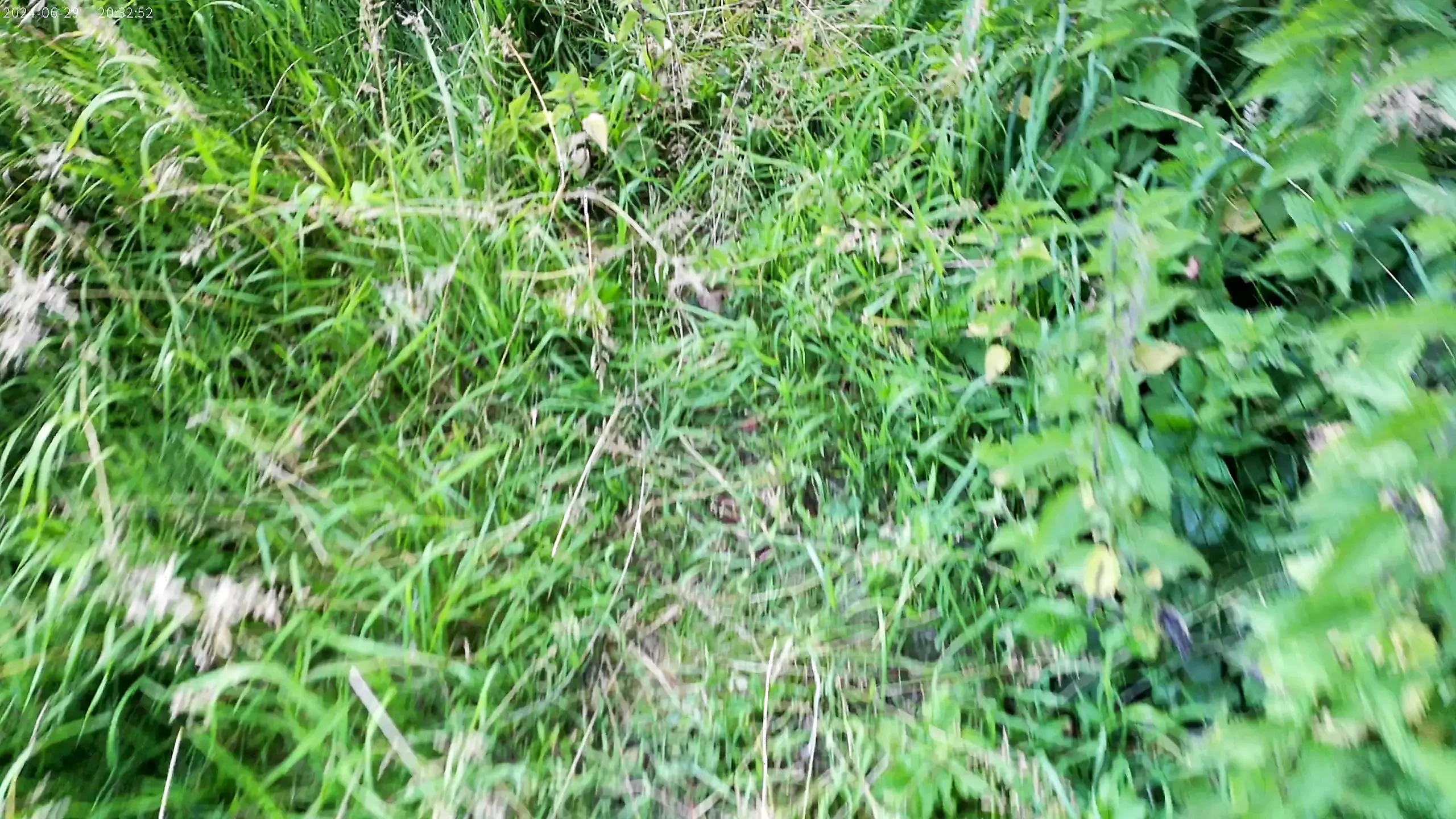 Кусок в лесу 🥵
